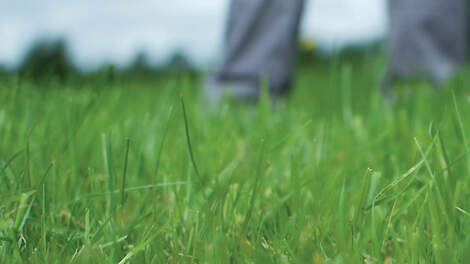 Column: Afbouw derogatie vereist mest plannen en sparen