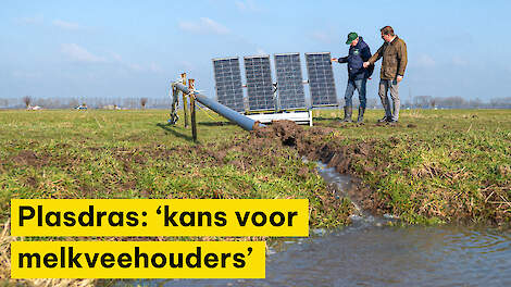 Video: Greppelplasdras: ‘ANLb biedt stukje toekomst voor melkveehouderij’