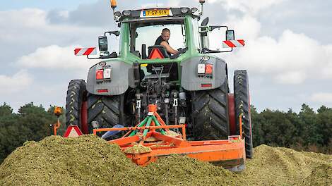 Recordhoeveelheid energie in maïskuil van 2024