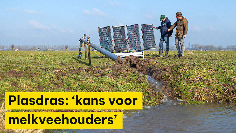 Greppelplasdras: ‘ANLb biedt stukje toekomst voor melkveehouderij’