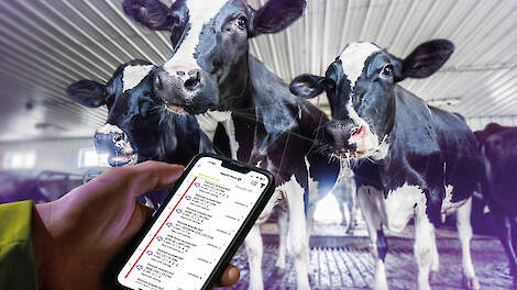 De toekomst van melkveehouderij: Preventief gezondheidsmanagement met AI