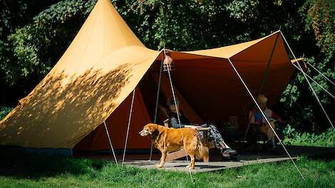 Start een boerencamping!