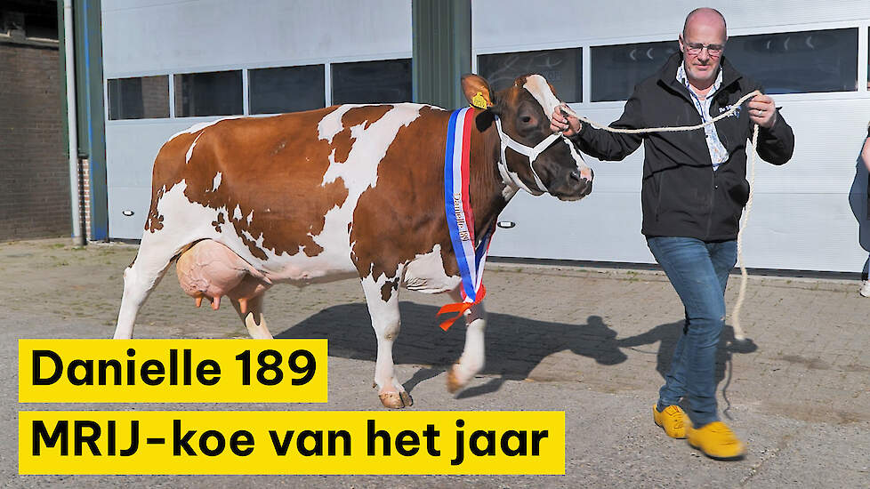 Huldiging MRIJ-koe van het jaar bij De Vinkenhof