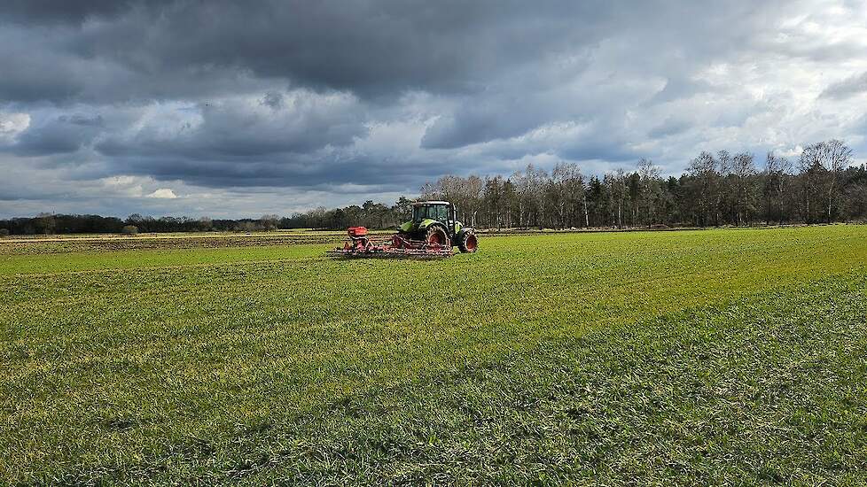 Graslandverzorging in het vroege voorjaar: tips van teeltspecialist Ludwig | LG Seeds