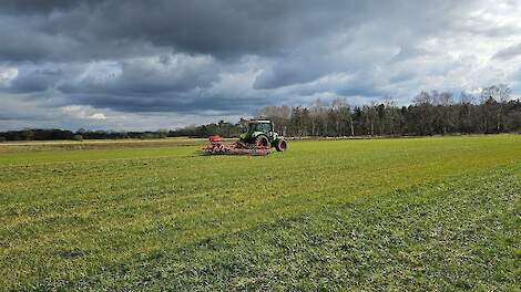 Graslandverzorging in het vroege voorjaar: tips van teeltspecialist Ludwig | LG Seeds