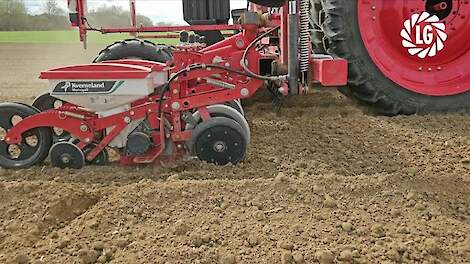 Zaaitips voor voederbieten | Teeltspecialist Patrick geeft advies | LG Seeds
