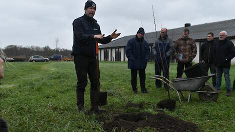 Melkveehouders krijgen 50 procent korting op Agroforestry-advies