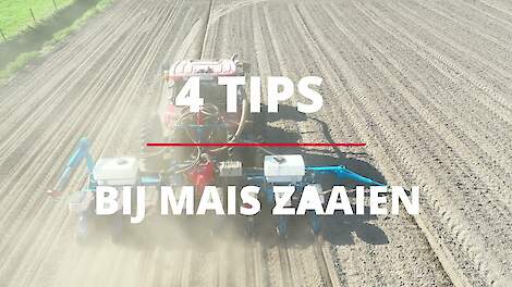 Mais zaaien: 4 tips voor een goede start!