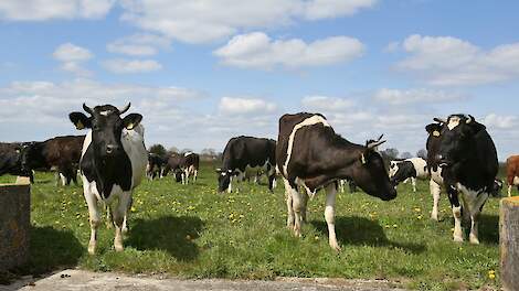 Melkprijs Eko-Holland stijgt met 1 euro in april