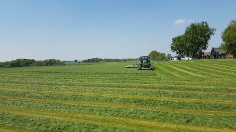 Vruchtwisseling op maisland: “Gras is een krachtige partner voor bodem én opbrengst”