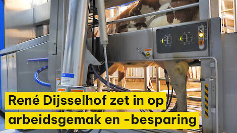 Melkveehouder René Dijsselhof zet in op arbeidsgemak en arbeidsbesparing