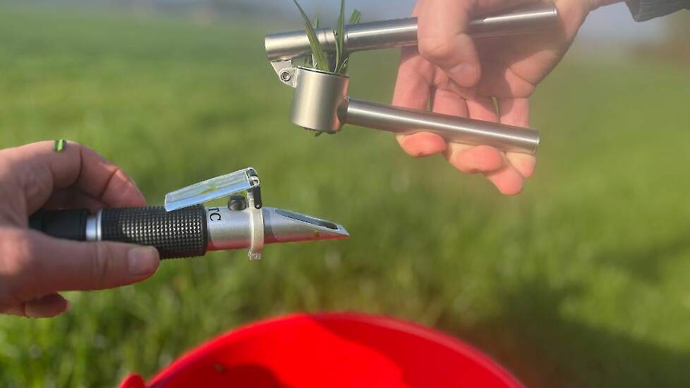Suikergehalte van gras bepalen met behulp van brixmeter of refractometer