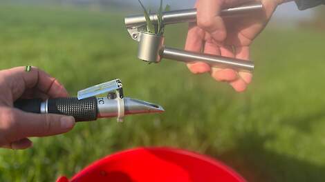 Suikergehalte belangrijk bij bepalen juiste maaimoment voor het inkuilen van gras
