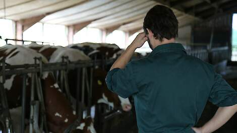Vertrouwensloket welzijn landbouwhuisdieren signaleert 'zorgwekkende' trend door druk op boeren