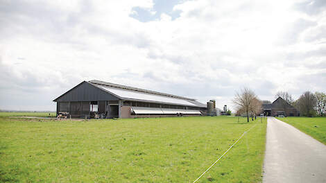 De stal is opvallend open, met ook aan de voor- en achterkant windbreekgaas. Aan de zijkant zitten kleppen met doorzichtig folie.