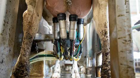 ABN Amro verwacht stijgende liquiditeit in 2025