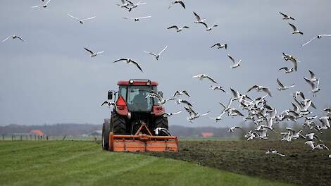 Tijdelijk grasland fors duurder dan blijvend grasland: prijsverschillen lopen op