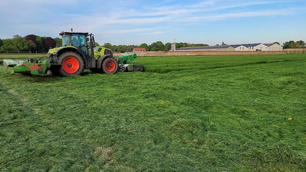 Waar op sommige percelen het gras al gemaaid is, zal waarschijnlijk komende week de eerste snede in volle gang losbarsten.