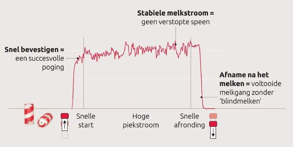 Afbeelding met optimale melkstroom
