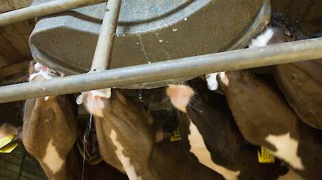 Denkavit krijgt alsnog boete na jarenlange juridische strijd om verboden stof in veevoeder