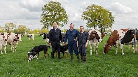 Groot Nibbelink wint Agroscoopbokaal Melkvee 2025