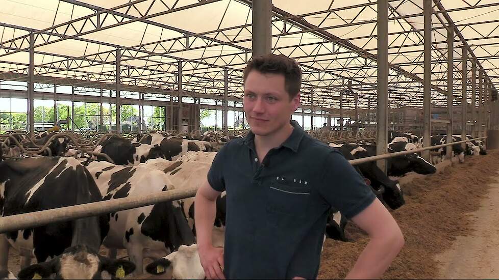 De eerste snede in Emmer-Compascuum