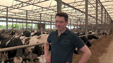 De eerste snede in Emmer-Compascuum