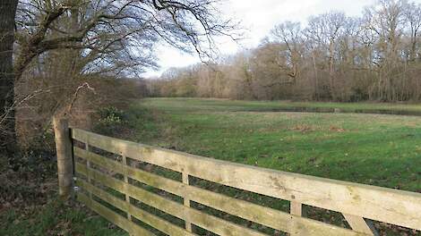 Vijf vragen over meetpilot nabij Gronings Natura 2000-gebied Lieftinghsbroek: emissiefactor matcht met praktijk