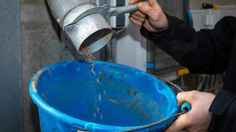Maismeel en soja zorgen voor blijvende druk op voerprijzen
