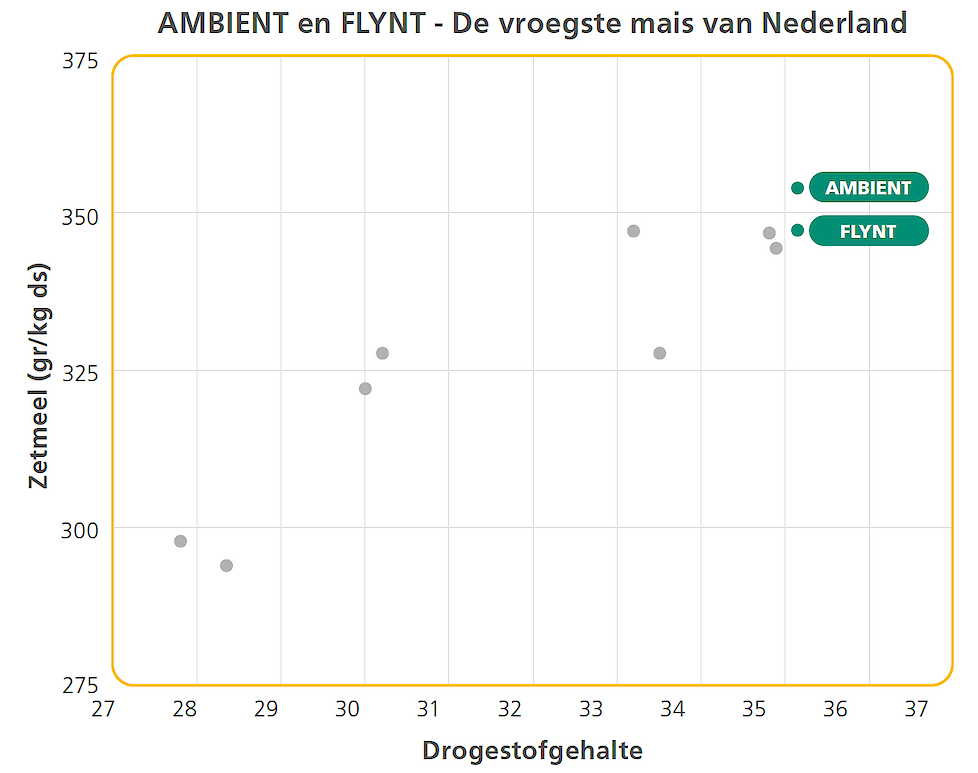 AMBIENT en FLYNT zijn de vroegste maisrassen van Nederland