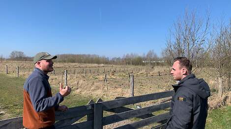 Vooruit met die verbreding: agroforestry biedt kansen