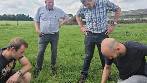 Biologische melkveehouder over samenwerking met akkerbouwers: ‘Eén plus één is drie voor ons’
