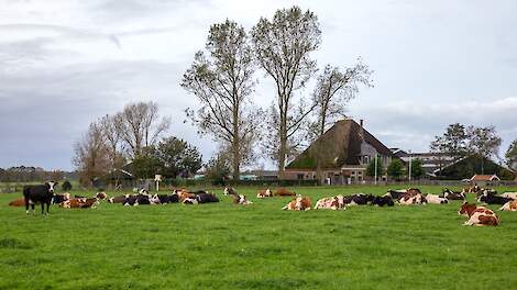 Grondgebondenheid, agrarische hoofdstructuur en maatschappelijke landbouwgronden. Met een initiatiefwet wil NSC de stilstand in het landbouwbeleid doorbreken