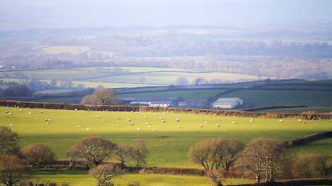 Britten leveren recordhoeveelheid melk; aantal boeren krimpt