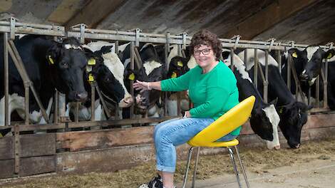 Tussen de mensen en de koeien: zomerreces met een doel