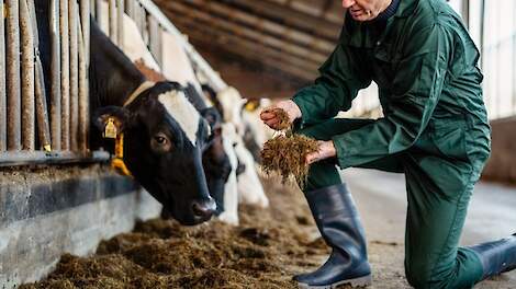 Opnieuw een hoge CO2-toeslag voor melkveeklanten ForFarmers