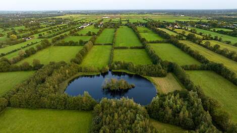 De waarde van habitatmonitoring in de Noardlike Fryske Wâlden