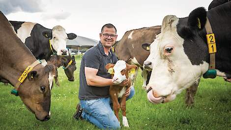 Melkveehouder Christian Klein Koerkamp ontwikkelt Cownection: gecontroleerd contact tussen koe en kalf