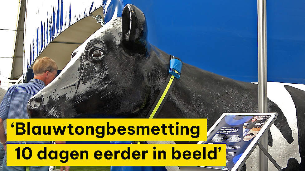 Vroegtijdige detectie van blauwtong door koemonitoring