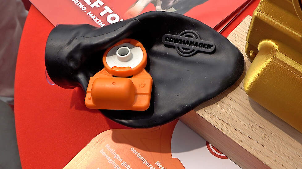 Gezondheid van kalf en koe monitoren met sensor in het oor