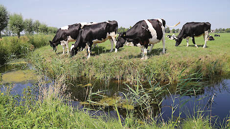 Weidemelk is uit, lage CO2-voetafdruk is ‘hot and happening’