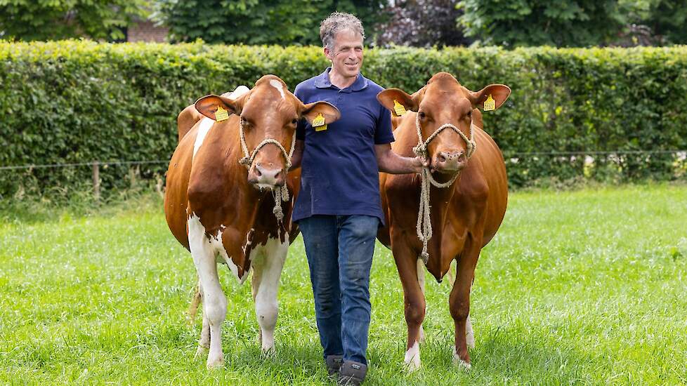 Bert Zonnenberg hecht onder meer veel waarde aan brede koeien met hoge eiwitgehaltes, goed beenwerk en optimale uiers.