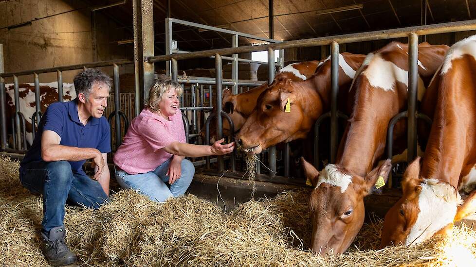 Bert en Wilma Zonnenberg namen het familiebedrijf in 1993 over. Sindsdien is de fokkerij een belangrijk speerpunt in de bedrijfsvoering.