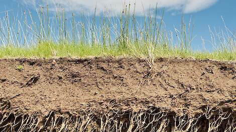 Boer en onderzoeker delen bodemkennis in de praktijk