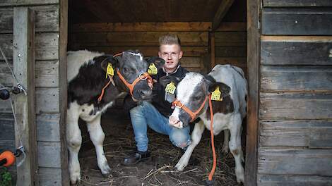 Veehandelaar Jordy van der Veen (22) heeft al vijf jaar ervaring