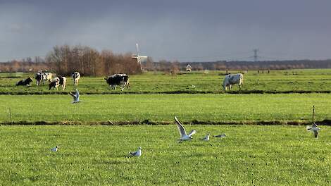 Botulisme aangetroffen in Ede