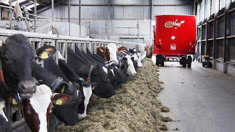 Mineralen en sporenelementen in ruwvoer onder druk: fosfor, koper en selenium vaak te laag