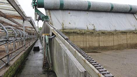 Melkveehouder grijpt mis bij subsidieloting: rechter geeft minister gelijk