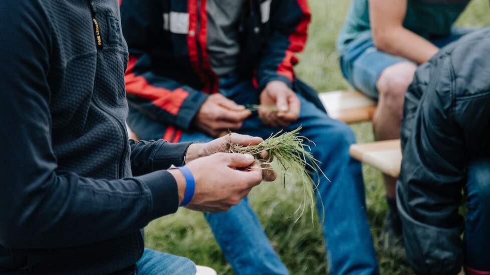 De kwaliteit van het gras wordt beoordeeld