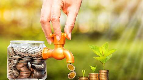 Laatste keer Subsidie Behoud grasland bij afbouw derogatie